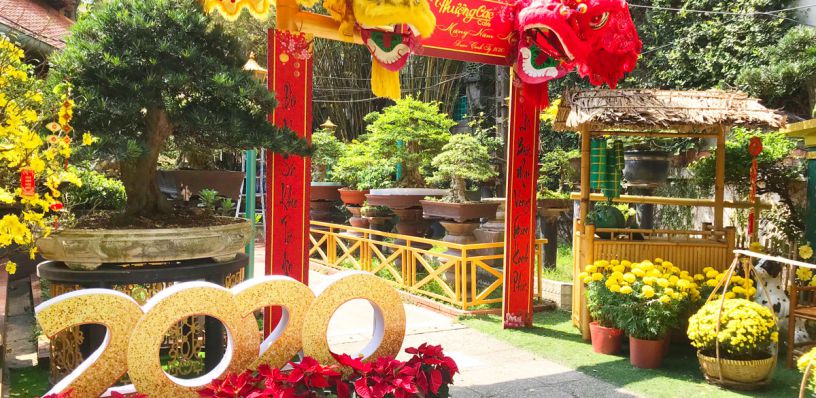 DECOR TRANG TRÍ TIỂU CẢNH TẾT