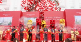 Cung Cấp Lân Sư Rồng Khai Trương - Lân Sư Rồng Tết