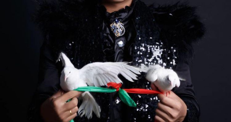 Cung Cấp Ảo Thuật Gia, Biểu Diễn Xiếc Chuyên Nghiệp Cho Sự Kiện